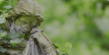 Przejdź do wirtualnego spaceru po Cmentarzu Głównym Wirtualny Spacer po Cmentarzu Głównym